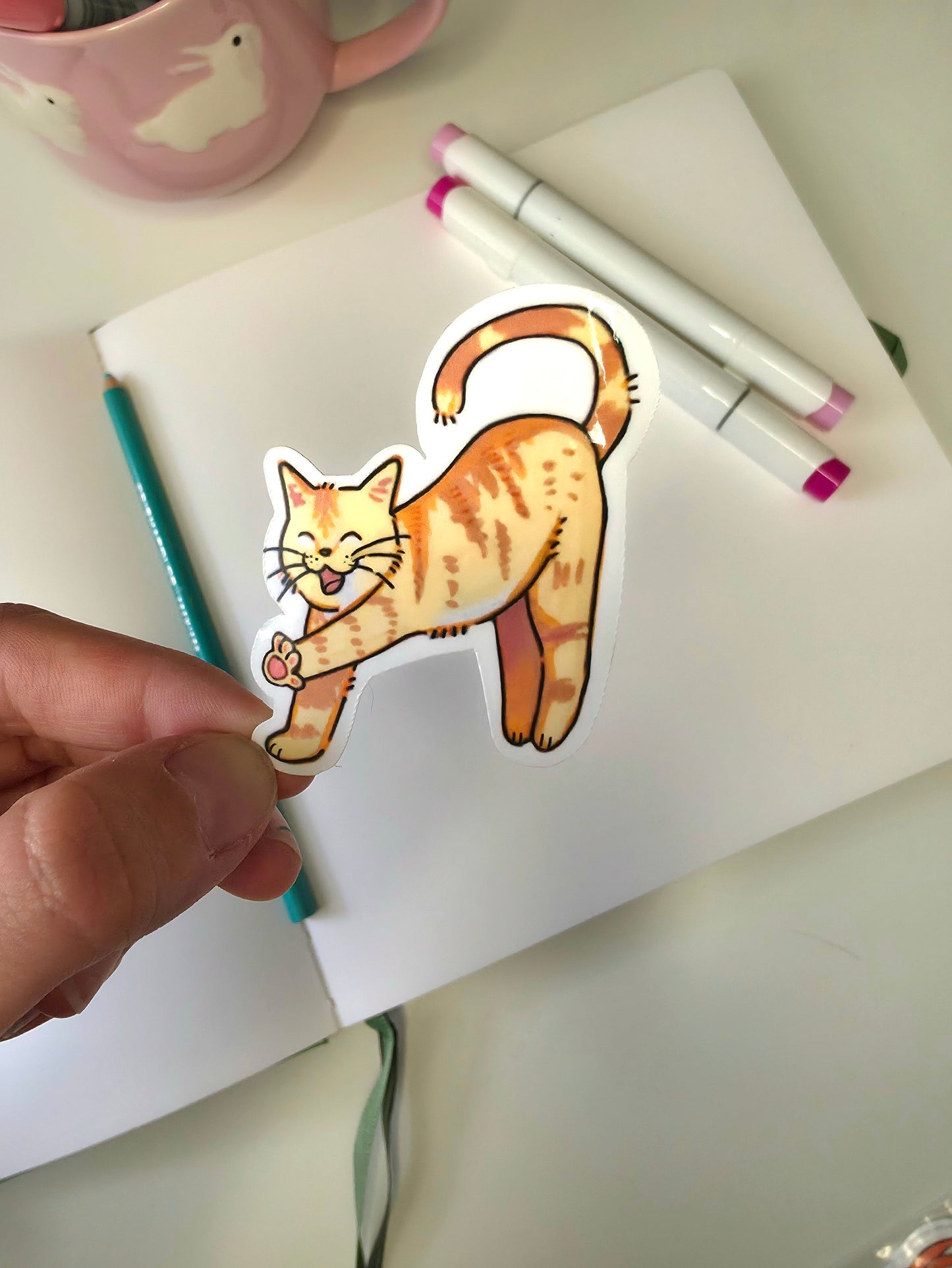 Orange kitty