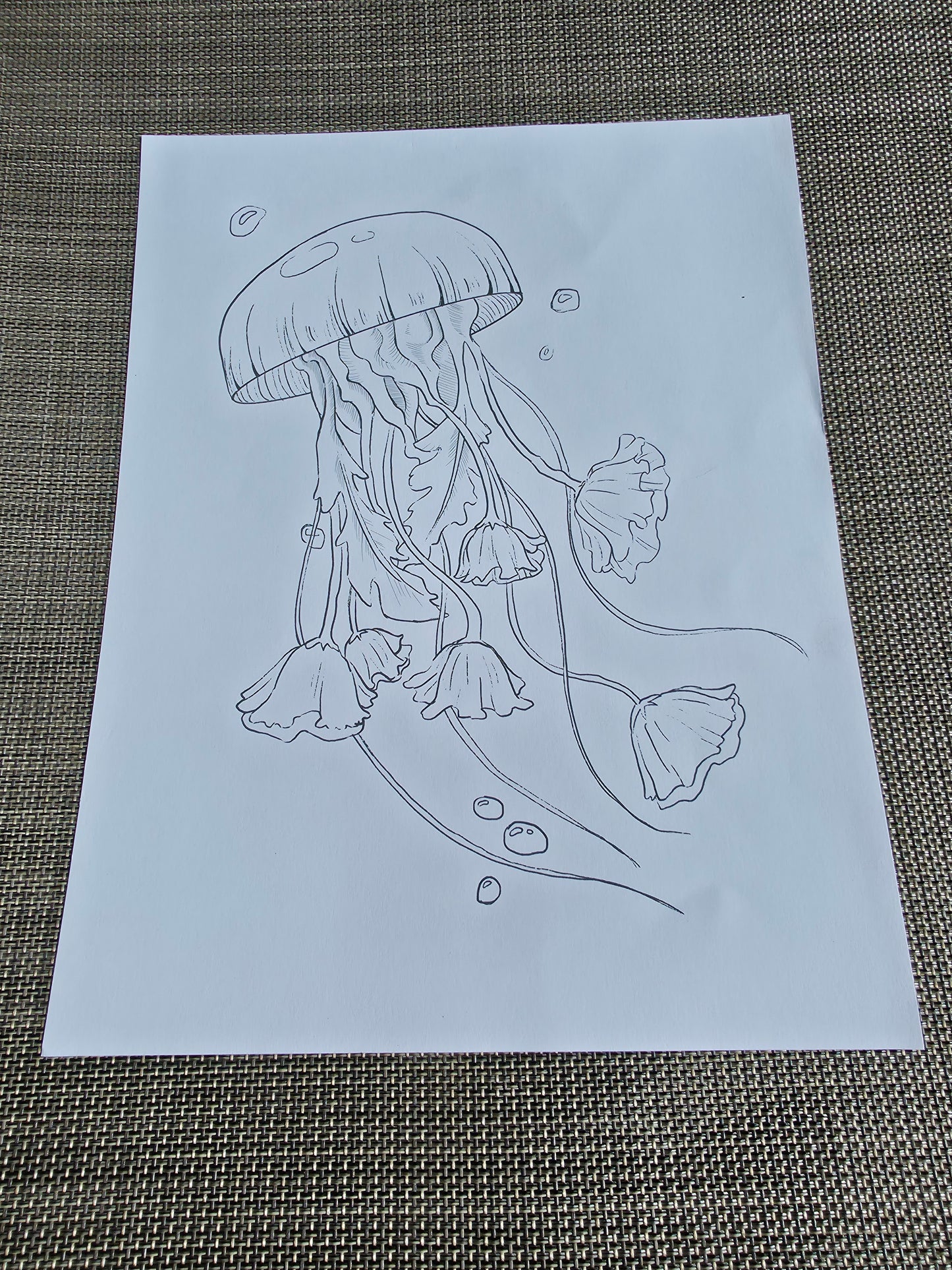 California poppy jelly coloring page